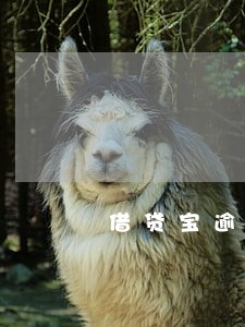 借贷宝逾期2年