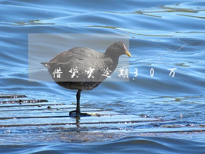借贷宝逾期30万