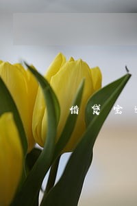 借贷宝逾期3万后果 借贷宝逾期3万后果