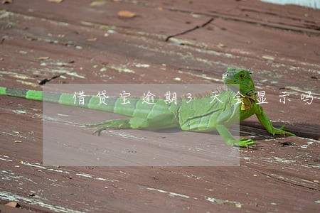 借贷宝逾期3天会显示吗 借贷宝逾期3天会显示吗
