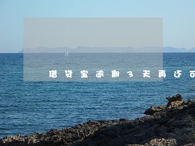 借贷宝逾期3天再还可以嘛