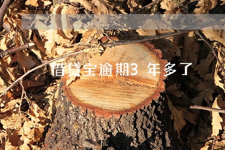 借贷宝逾期3年多了