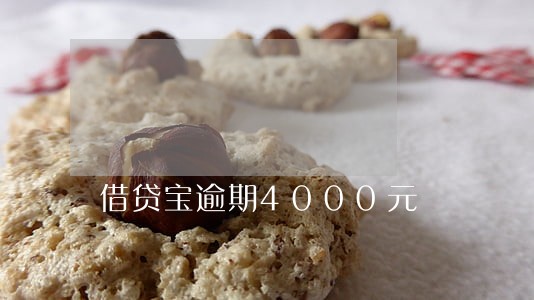 借贷宝逾期4000元 借贷宝逾期4000元