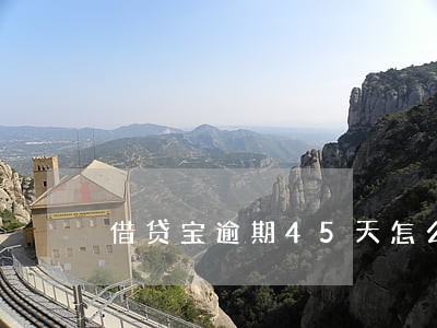 借贷宝逾期45天怎么处理 借贷宝逾期45天怎么处理