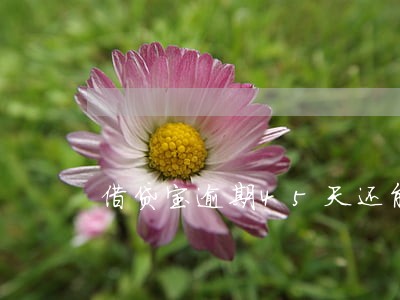 借贷宝逾期45天还能买车吗 借贷宝逾期45天还能买车吗