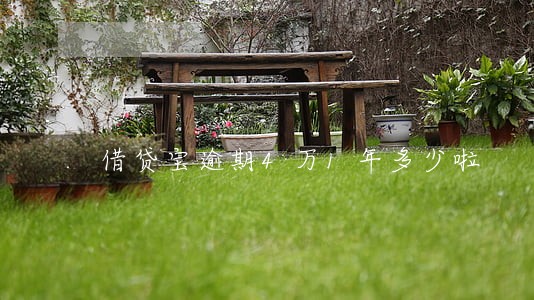借贷宝逾期4万1年多少啦 借贷宝逾期4万1年多少啦