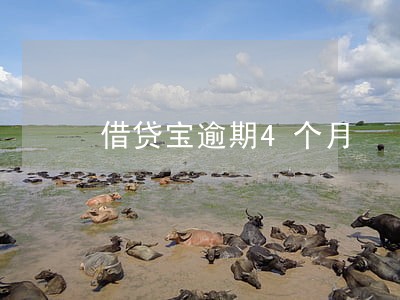 借贷宝逾期4个月
