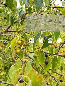 借贷宝逾期4个月了 借贷宝逾期4个月了