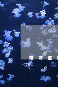 借贷宝逾期5万5年了 借贷宝逾期5万5年了