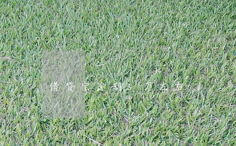 借贷宝逾期5万左右 借贷宝逾期5万左右