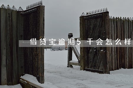 借贷宝逾期5千会怎么样 借贷宝逾期5千会怎么样