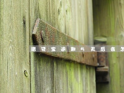 借贷宝逾期5天后会怎么样 借贷宝逾期5天后会怎么样