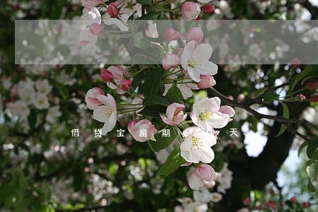 借贷宝逾期60天 借贷宝逾期60天