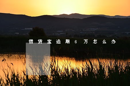 借贷宝逾期6万怎么办