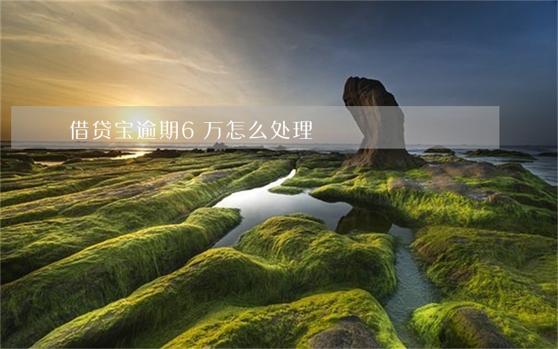 借贷宝逾期6万怎么处理