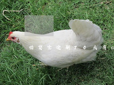 借贷宝逾期70天有什么影响 借贷宝逾期70天有什么影响