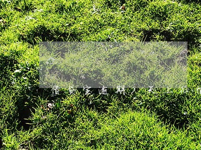 借贷宝逾期7天上征信吗 借贷宝逾期7天上征信吗