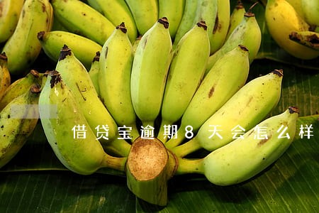 借贷宝逾期8天会怎么样 借贷宝逾期8天会怎么样