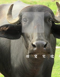 借贷宝逾期90万 借贷宝逾期90万