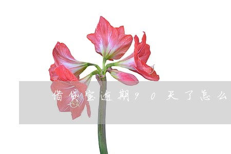 借贷宝逾期90天了怎么办 借贷宝逾期90天了怎么办
