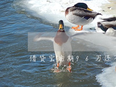 借贷宝逾期96万还不上怎么办