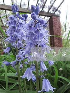 借贷宝逾期不2018