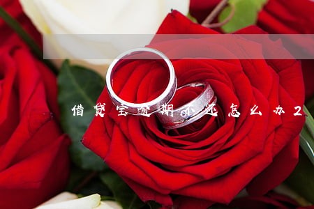 借贷宝逾期不还怎么办2018