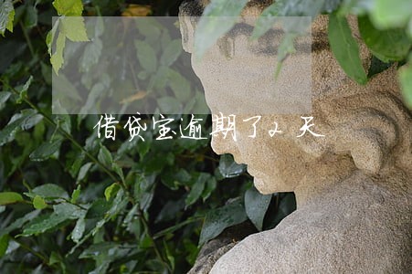 借贷宝逾期了2天 借贷宝逾期了2天