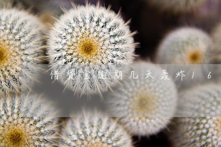 借贷宝逾期几天轰炸16 借贷宝逾期几天轰炸16
