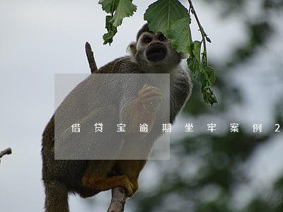 借贷宝逾期坐牢案例2019 借贷宝逾期坐牢案例2019