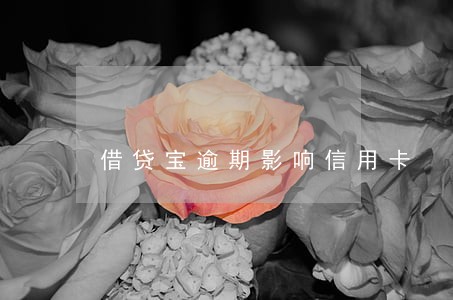 借贷宝逾期影响信用卡 借贷宝逾期影响信用卡