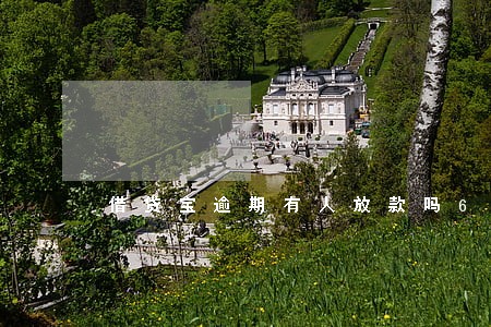 借贷宝逾期有人放款吗6