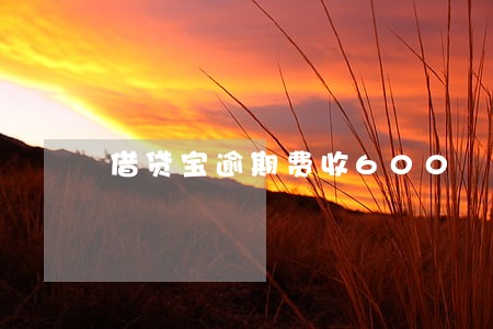 借贷宝逾期费收600 借贷宝逾期费收600