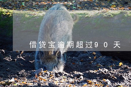 借贷宝逾期超过90天 借贷宝逾期超过90天
