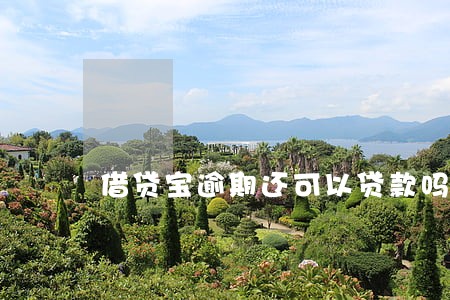 借贷宝逾期还可以贷款吗 借贷宝逾期还可以贷款吗