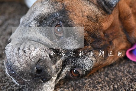 借贷平台贷款逾期还款 借贷平台贷款逾期还款