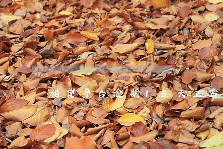 借贷平台逾期15天正常吗 借贷平台逾期15天正常吗