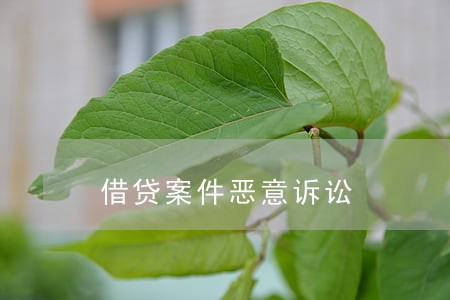 借贷案件恶意诉讼 借贷案件恶意诉讼