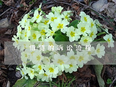 借贷的诉讼流程
