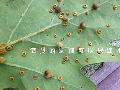 借贷的逾期可以只还本金吗 借贷的逾期可以只还本金吗