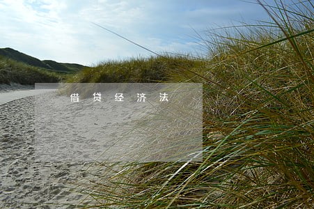 借贷经济法 借贷经济法