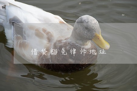 借贷豁免律师地址 借贷豁免律师地址