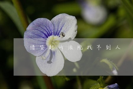 借贷起诉法院找不到人