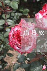 借贷软件逾期2年 借贷软件逾期2年