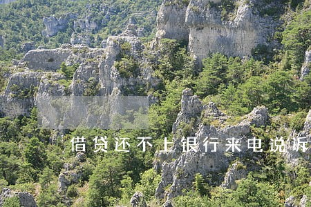借贷还不上银行来电说诉讼