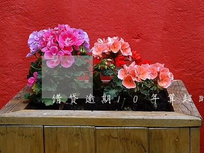 借贷逾期10年算超时效吗 借贷逾期10年算超时效吗