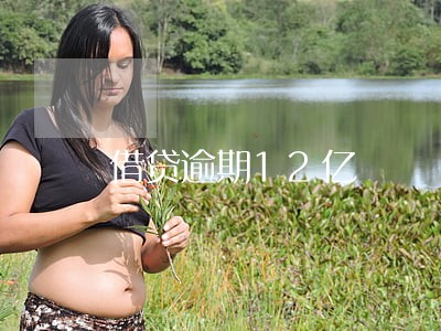 借贷逾期12亿 借贷逾期12亿