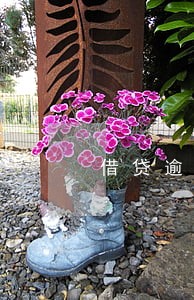 借贷逾期1个月很严重 借贷逾期1个月很严重
