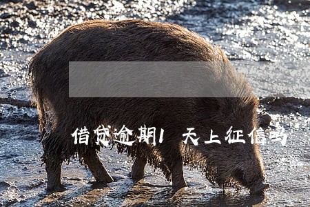 借贷逾期1天上征信吗 借贷逾期1天上征信吗