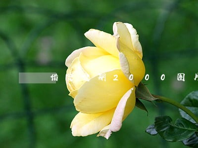 借贷逾期2000图片 借贷逾期2000图片